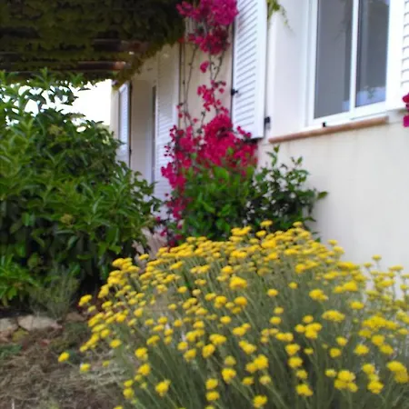 Holiday home Kalliste Sartene (Corsica)