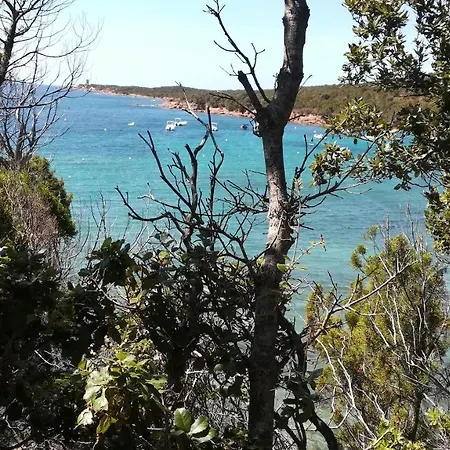Kalliste Holiday home Sartene (Corsica)