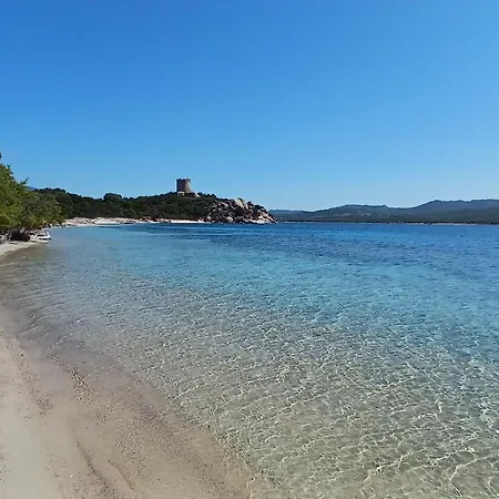 Kalliste Sartene (Corsica)