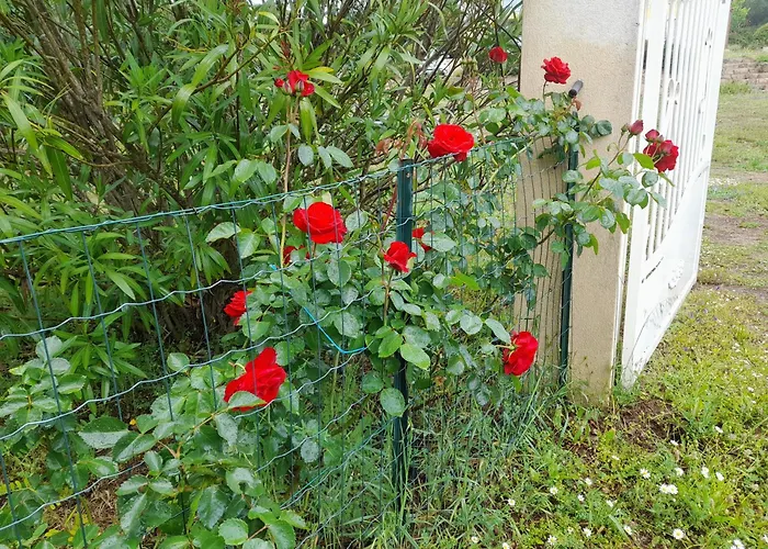 Kalliste Prázdninový dům